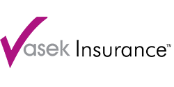Vasek logo